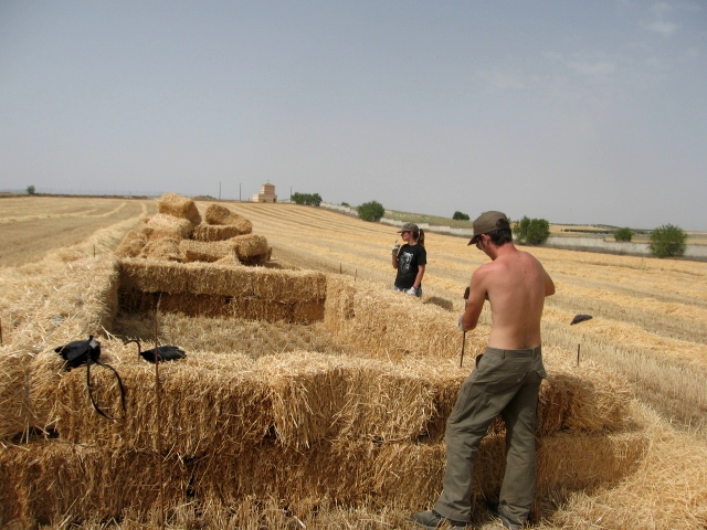 realizando los hacking con pacas de paja..