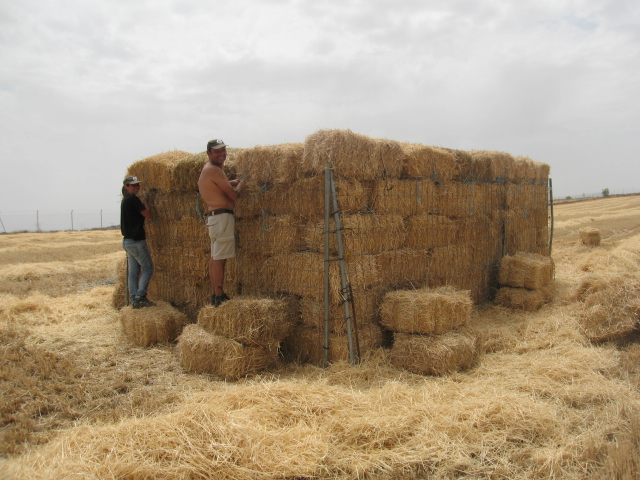 Realizando los hacking con pacas de paja..