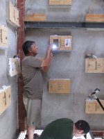 Ernesto y Nacho anillan los pollos de cernícalo primilla nacidos en el primillar