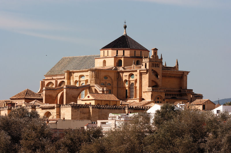 La Mezquita-Catedral alberga una ingente población de palomas domésticas, que dañan el monumento. Contamos con el Halcón peregrino como futuro controlador. 