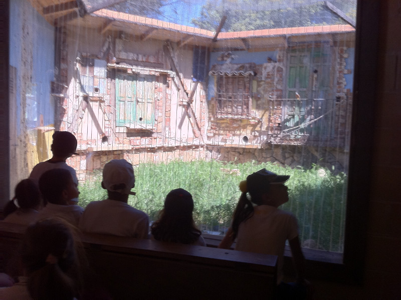 El Centro a las instalaciones de Centro Naturaleza Viva centra parte de la actividad educativa.