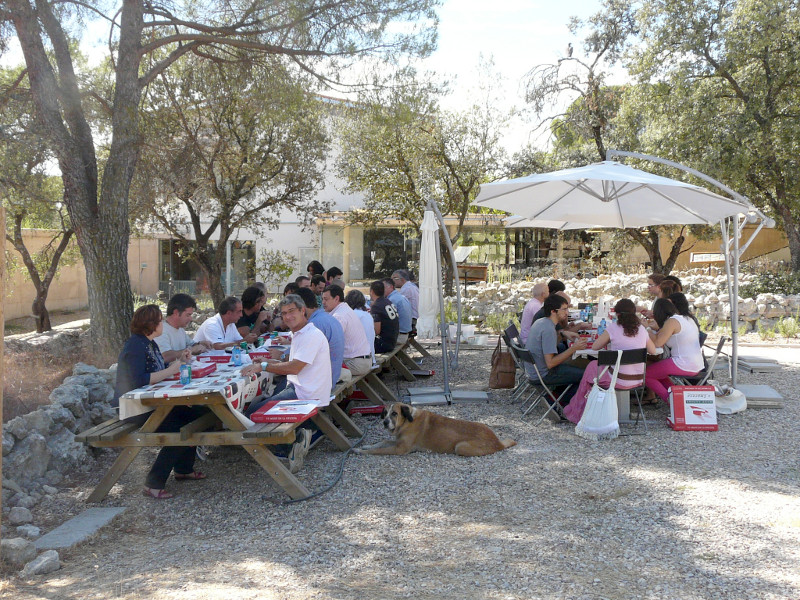 Comida al aire libre en las instalaciones de GREFA