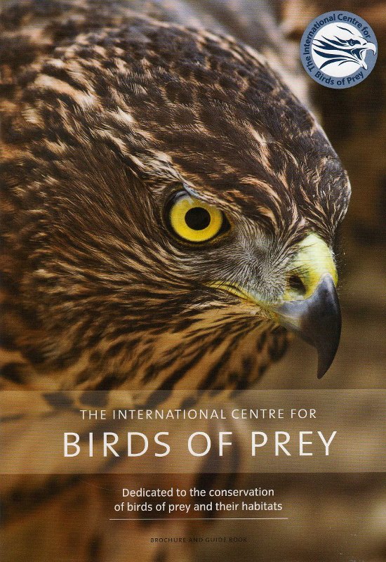 The International Centre for Birds of Prey