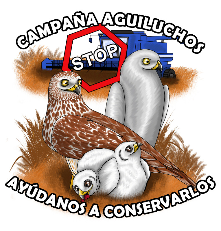 Logotipo de la campaña de conservación de los aguiluchos. Autora: Ana Pisa