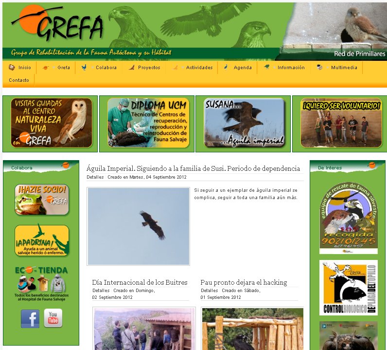 El aspecto de la nueva pagina de GREFA