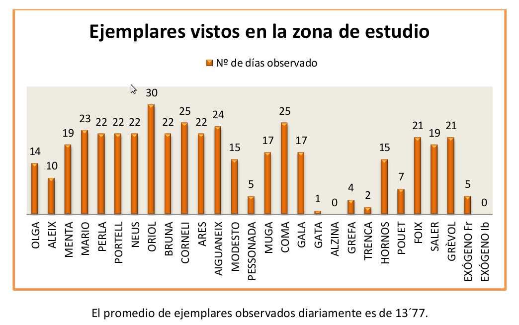 Ejemplares vistos en la zona de estudio