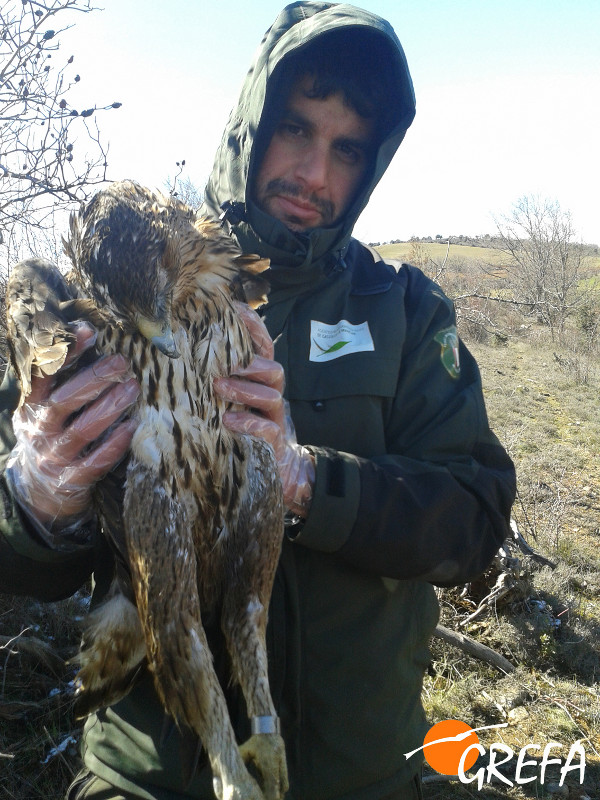 Agente forestal de Castilla la Mancha durante el levantamiento del cadaver