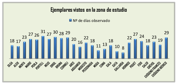 RESUMEN JULIO 2013. Ejemplares de buitre negro vistos en la zona de estudio