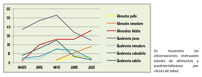 Alimoches y quebrantahuesos en Boumort