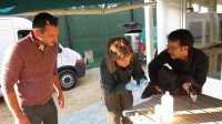 Colocación del microchip y verificación del estado sanitario