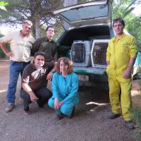 El Director del Hospital y la Veterinaria Junto a técnicos Rehabilitadores del CR y miembro de GREFA recogiendo los dos ejemplares.Estos ejemplares han sido cedidos para el programa de Cría en cautividad, aunque el equipo mde rehabilitación de GREFA va a intentar rehabilitar uno de ellos para poder liberarlo.
