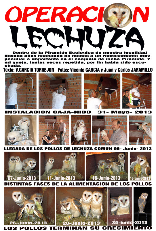 Cartel de la campaña "Operación Lechuza"