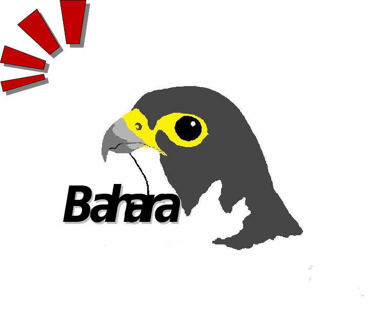 Proyecto Bahara. Intriducción del halcón peregrino en la Catedral de Córdoba