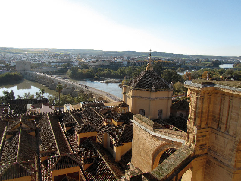 Panoramic view of part of the territory that the pair of Peregrine Falcons would have, if they settle in one of the artificial nests.