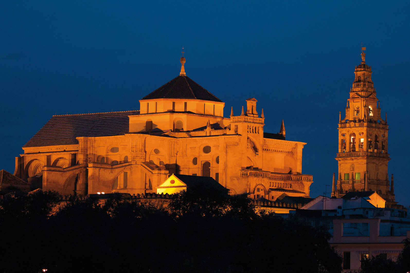 East face of the Cathedral and the tower, where the hacking and artificial nests will be placed.