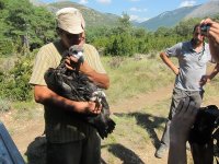 Ernesto jugando con Pau ya en Boumort antes de su liberación