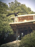 Pau practicando el vuelo en el hacking