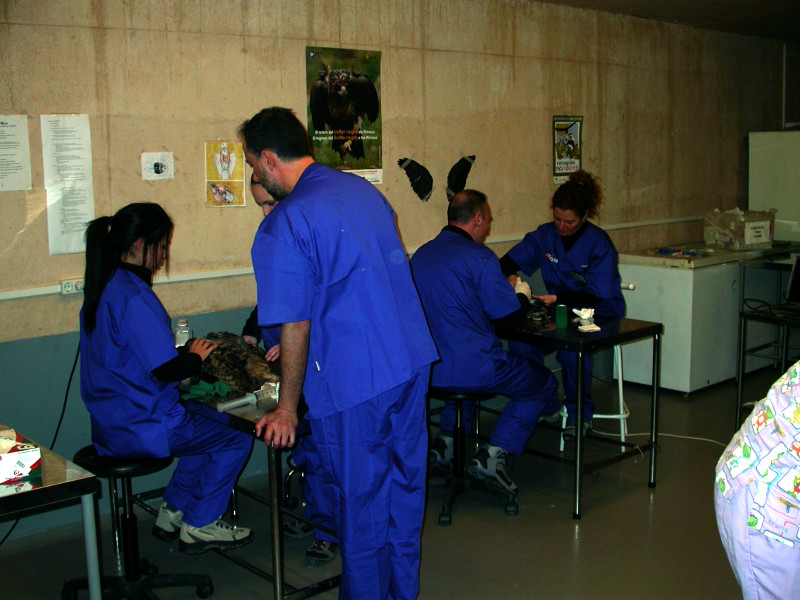 Alumnos en clase de primeros auxilios