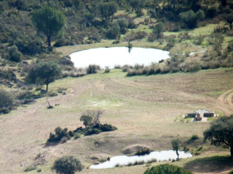 Finca "El Quexigal"