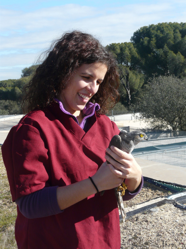 Carolina, voluntaria de enfermería, en el momento de liberar al gavilán