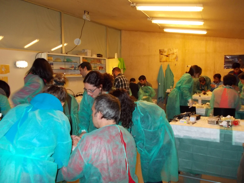 Taller práctico en  GREFA