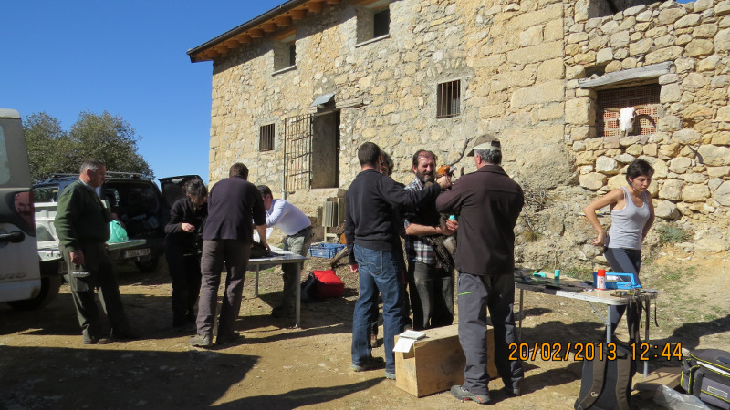 Tres equipos de trabajo completaron el marcaje de los 7 buitres negros de Boumort. En la imagen y en primer plano, el equipo encargado del marcaje de los buitres negros con transmisores   GPS y al fondo el encargado de obtener muestras para analizar y ver el estado física y sanitario.