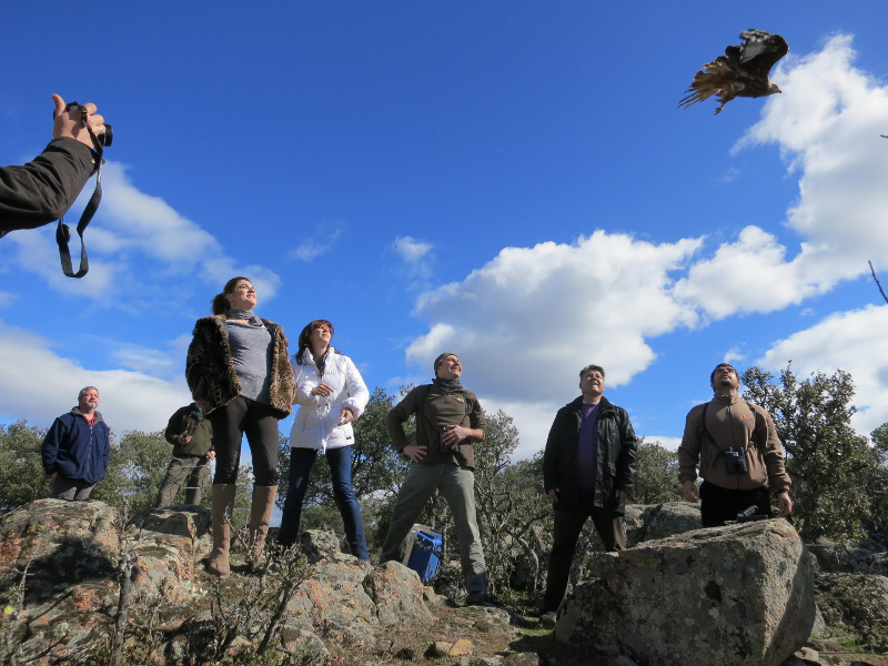 En la liberación han participado la alcaldesa de Valdemorillo Pilar López Partida y la concejala de Medio Ambiente Carmen Villanueva.