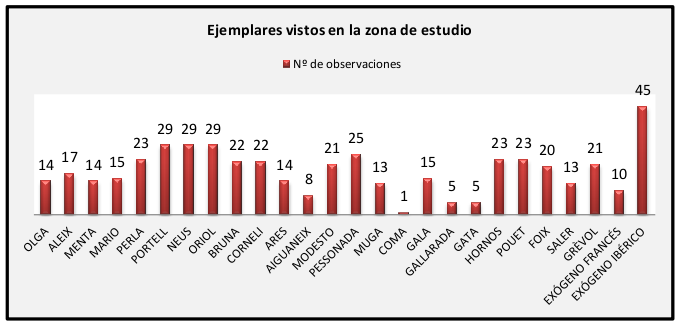 El promedio de ejemplares controlados diariamente es de 16. Se alcanza un nuevo máximo de individuos vistos en un día: 27 (10 de Junio)