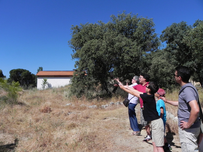 Liberación de estorninos