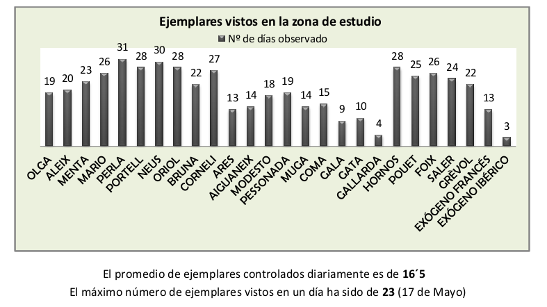 RESUMEN MENSUAL MAYO 2013, reintroducción del buitre negro en Pirineos