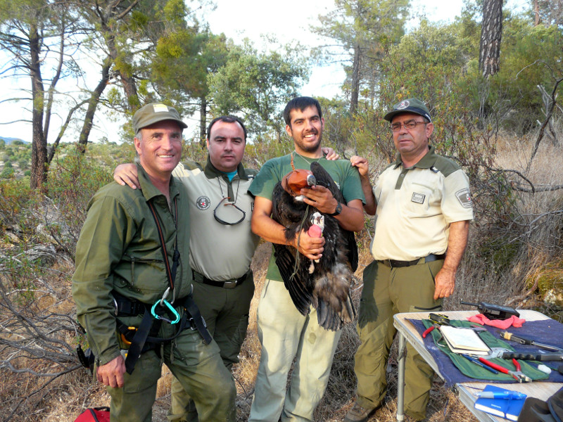 Equipo de trabajo durante el marcaje de Poyales