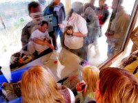 9. Varios de nuestros voluntarios alimentan a pollos huérfanos, ante la mirada de los visitantes.