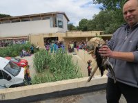 20. Niños y adultos miran al milano real que está a punto de ser liberado como colofón a la jornada.