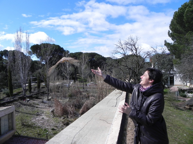 Nueva liberación gracias al portal "Buscopadrino"