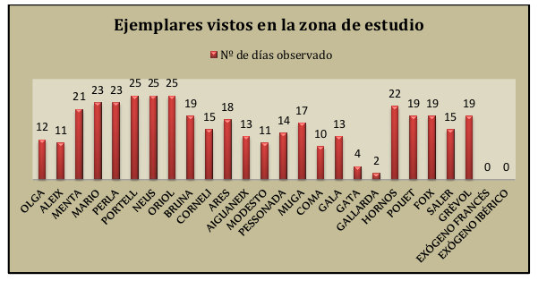 El promedio de ejemplares observados diariamente es de 13.  El máximo Nº de ejemplares vistos en un día ha sido de 21 (8 de Abril).