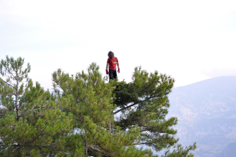 Construyendo nidos artificiales para el buitre negro en Pirineos