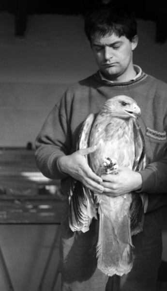 Ernesto, presidente de GREFA, posa con un águila imperial. Más de treinta años de experiencia nos avalan.
