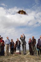 Juan José Cerrón libera un milano real recuperado en GREFA cuando era director general de Medio Ambiente de la Comunidad de Madrid.