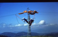 Hace años, antes de que se montara la burocracia administrativa actual, GREFA avisaba directamente a las compañías eléctricas para la rectificación de tendidos. Ahora que son las consejerías de medio ambiente de las comunidades autónomas las encargadas de esta labor, a menudo se tarda años o nunca se rectifican.