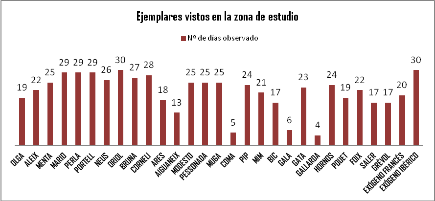 Ejemplares vistos en la zona de estudio