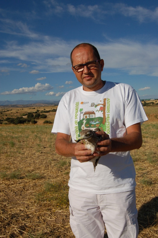 Liberacion de alcaravanes con "Montero Traducciones"