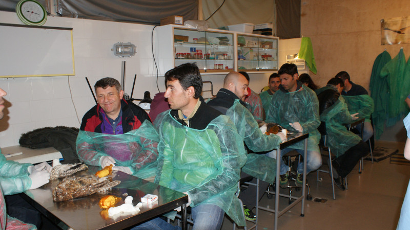 Participantes en el curso sobre rescata de fauna celebrado en el centro de GREFA
