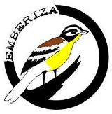 Emberiza