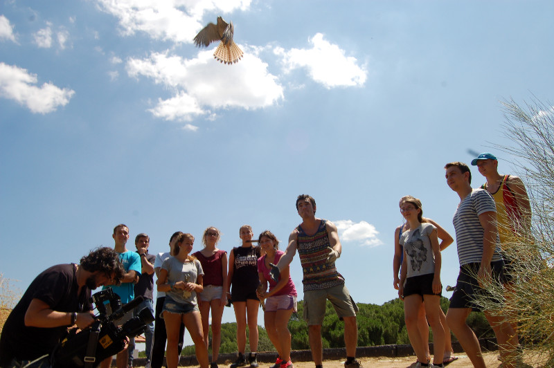 El grupo liberando unos cernícalos rehabilitados en el Centro de Recuperación