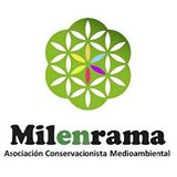 Milerama