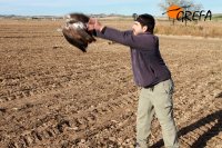 Libre. Foto: Juan Jaramillo.
