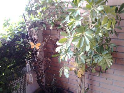 Napá la naturaleza no es solo verde, es vida