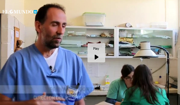 El hospital para la fauna salvaje más grande de Europa