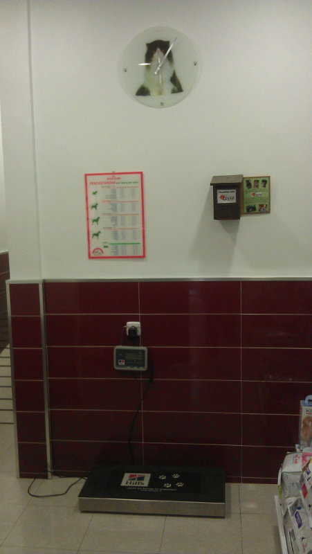 La hucha “caja nido” colocada en la recepción-tienda de Quevedog.