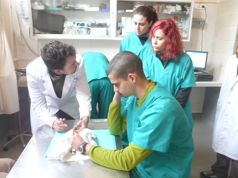 Alumnos revisando cernícalos primilla, dentro del departamento de Cría en cautividad